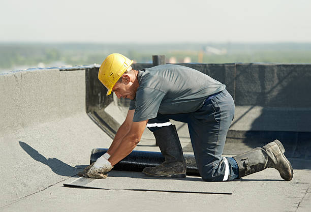 Best Cellulose Insulation in Escatawpa, MS
